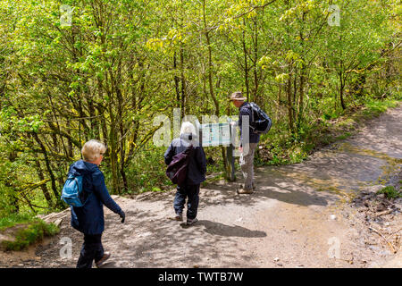 The information board above Sgwd yr Eira waterfall on the Four Waterfalls Walk in the Brecon Beacons National Park, Powys, Wales, UK Stock Photo