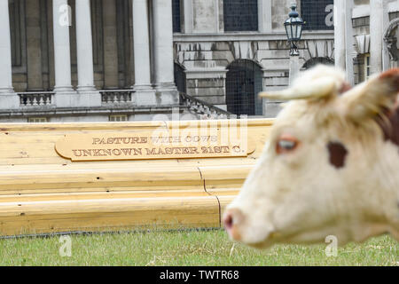 London, UK.  23 June 2019.  One of a pair of Friesian cows grazes in a pasture at the Old Naval College as part of a live real life painting called 'Pasture with cows' by the Captain Boomer Collective. The artwork is part of the Greenwich Fair, itself part of the Greenwich+Docklands International Festival.  The festival runs until 6 July 2019. Credit: Stephen Chung / Alamy Live News Stock Photo