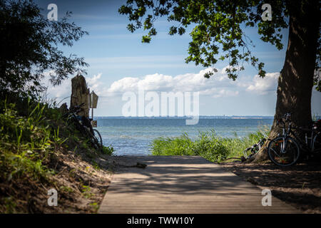 a wooden path leads to the beach of the Baltic Sea Stock Photo