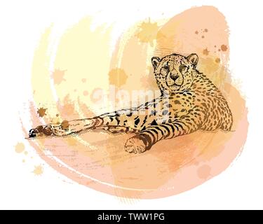Hand drawn sketch style cheetah isolated on white background. Vector illustration. Stock Vector