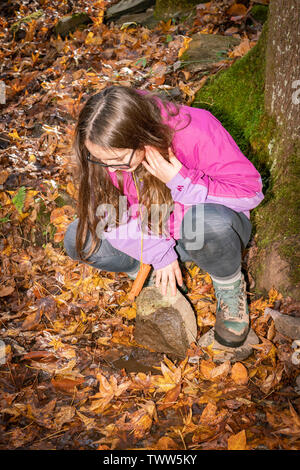 Girl with long hair looking in a creek for salalmanders in the Great Smoky Mountains National Park. Stock Photo