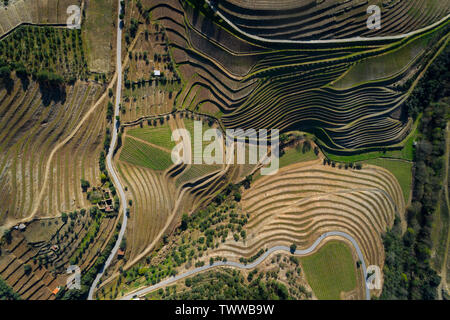 Aerial view of the terraced vineyards in the Douro Valley near the village of Pinhao, Portugal; Concept for travel in Portugal and most beautiful plac Stock Photo