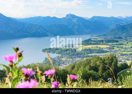 Altmünster: view from mountain Gmundnerberg to lake Traunsee and villages Altmünster and Traunkirchen, houses in Salzkammergut, Oberösterreich, Upper Stock Photo
