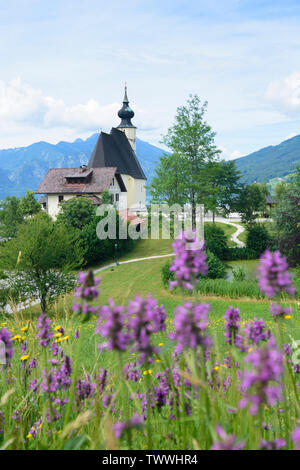 Steinbach am Attersee: lake Attersee, church, mountain Schafberg in Salzkammergut, Oberösterreich, Upper Austria, Austria Stock Photo