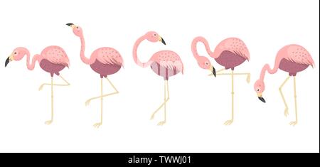 Pink flamingos collection. Isolated elements. Vector illustration Stock Vector