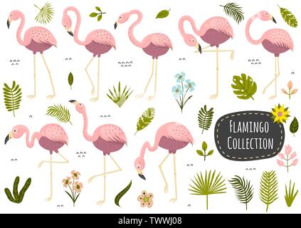 Flamingos and plants tropical collection. Set of isolated elements. Vector illustration Stock Vector
