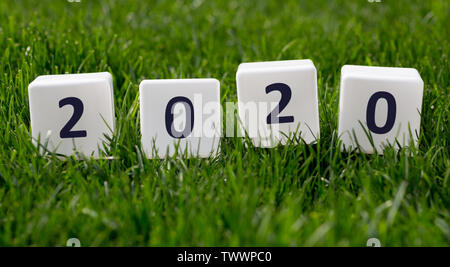 Close up of whte blocks with black 2020 text on green grass Stock Photo