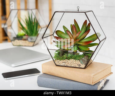 Florarium and books on table at white background Stock Photo