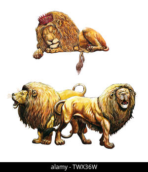 Sleeping and roaring lion. 2 Lions illustrations. Big cat acrylic illustration. Stock Photo