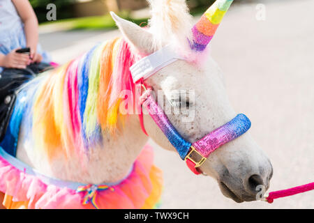 Little girl riding a unicorn at the little girl birthday party. Stock Photo