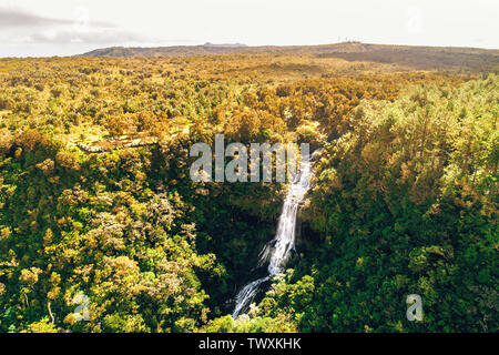 Aerial drone view of remote Alexandra Falls in Black River national park on paradise Island of Mauritius. Toned image.