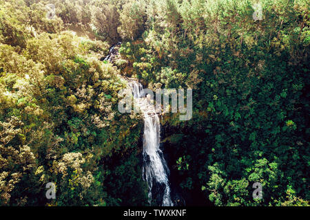 Aerial drone view of remote Alexandra Falls in Black River national park on paradise Island of Mauritius. Toned image.