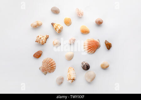 Many beautiful sea shells and pebbles on white background Stock Photo