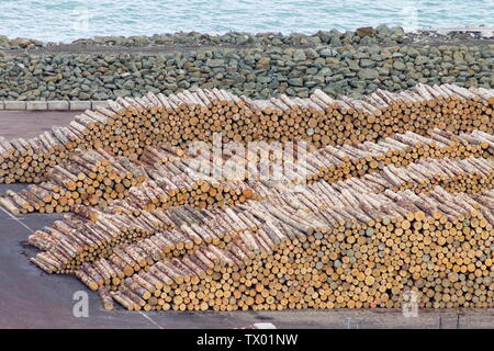 Stacks of logs piled up for export in New Zealand. Stock Photo