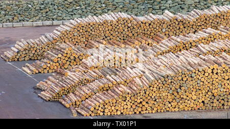 Stacks of logs piled up for export in New Zealand. Stock Photo