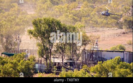 Cattle mustering, Central Queensland Stock Photo