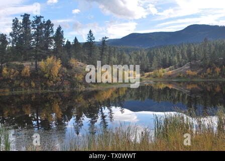 The colours of autumn reflected in a pond in the Canadian Rockies Stock Photo
