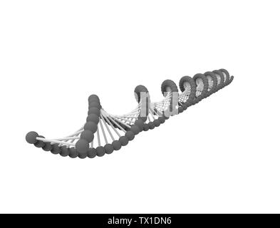 3d rendering of a DNA string isolated in white background. Stock Photo