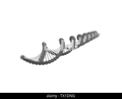 3d rendering of a DNA string isolated in white background. Stock Photo
