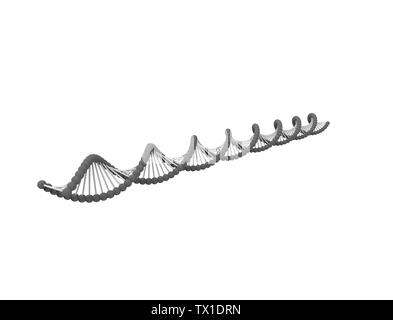 3d rendering of a DNA string isolated in white background. Stock Photo