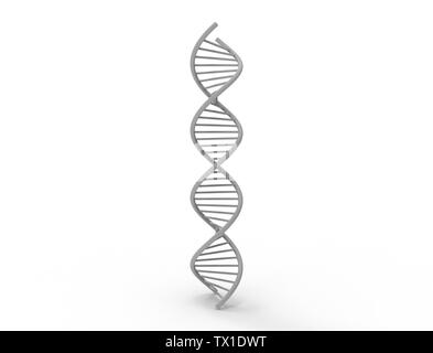 3d rendering of a DNA string isolated in white background. Stock Photo