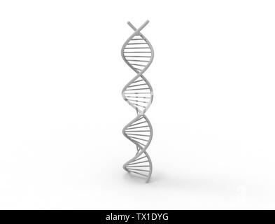 3d rendering of a DNA string isolated in white background. Stock Photo