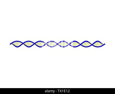 3d rendering of a DNA string isolated in white background. Stock Photo