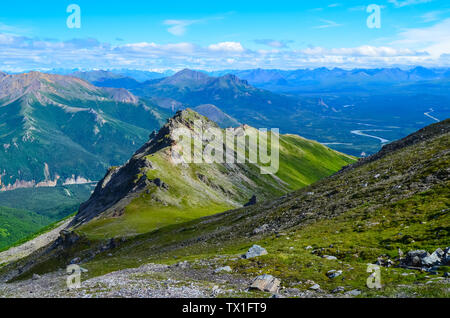 View of Nenana river valley from Mount Healy hike trail with blue sky with white clouds above. Denali National Park and Preserve, Alaska, USA Stock Photo