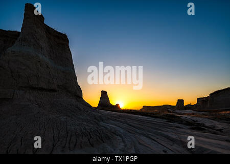 High-definition map of earth forest scenery Stock Photo