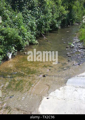 RELEASE DATE: September 18, 2009. MOVIE TITLE: Coco avant Chanel