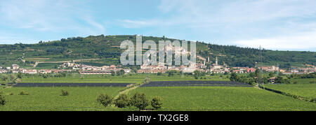 The medieval village of Soave near Verona with the castle, the green hills and the famous vine cultivation, Veneto, Italy, Europe Stock Photo