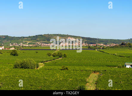 The medieval village of Soave near Verona with the castle, the green hills and the famous vine cultivation, Veneto, Italy, Europe Stock Photo