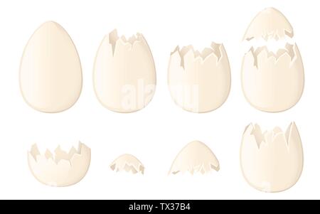 Set of white egg shells whole and cracked or broken shells flat vector illustration isolated on white background. Stock Vector