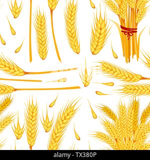 Seamless pattern of wheat yellow ripe spikelets and grains of wheat flat vector illustration on white background Stock Vector