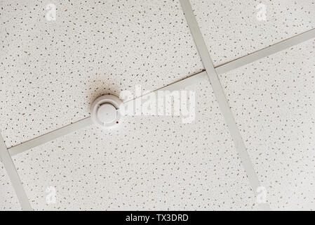 Smoke detector of fire alarm on the background of a white ceiling Stock Photo