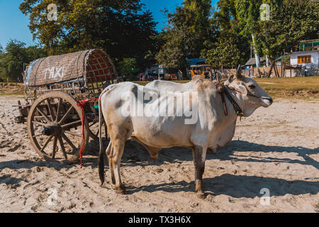 Street humanities in Myanmar Stock Photo