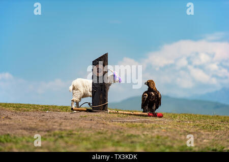 Falcon Terrace in Karajun Prairie, Yili, Xinjiang Stock Photo