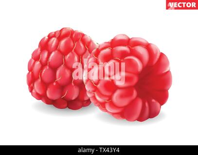Raspberries. 3d vector icon. Realistic illustration Stock Vector