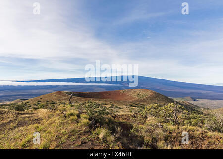 USA, Hawaii, Mauna Loa volcano, volcanic cone Stock Photo