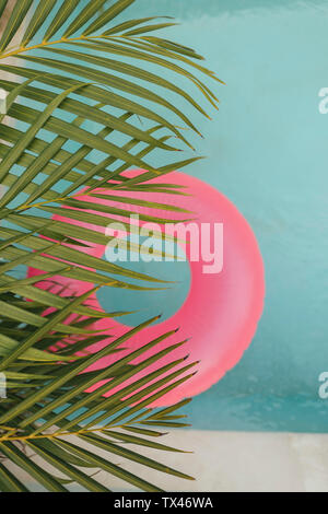 Palm leaf and pink inflatable ring in swimming pool Stock Photo