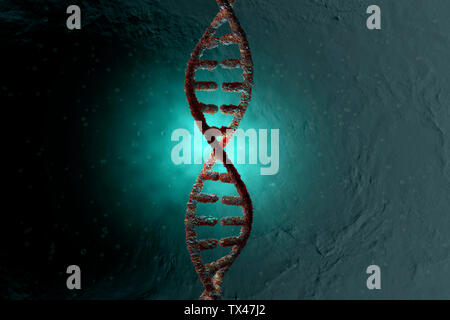 3D Rendered Illustration, visualisation of a DNA double helix Stock ...