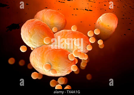 3D Rendered Illustration, visualisation of fat cells clogging together in the human body Stock Photo