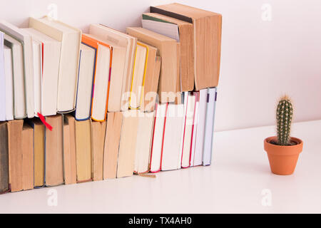 Stack of books and cactus on desk Stock Photo