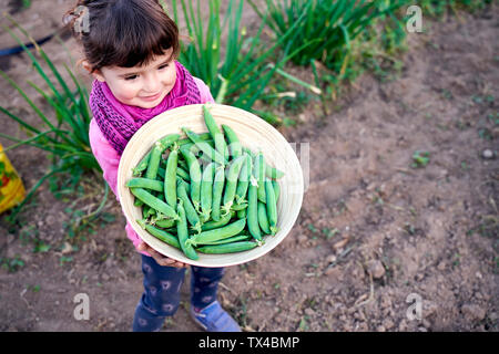Happy little girl holding bowl of freshly picked organic peas Stock Photo