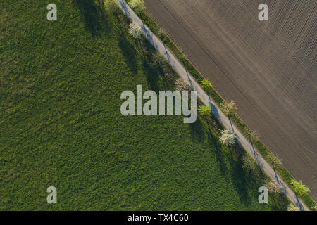 Aerial view of cherry trees in full bloom surrounding a pond with ...