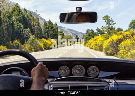 Greece, man in car on country road with blooming broom Stock Photo