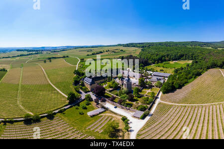 Germany, Hesse, Oestrich-Winkel, Rheingau, Aerial view of Schloss Vollrads, vine yards Stock Photo