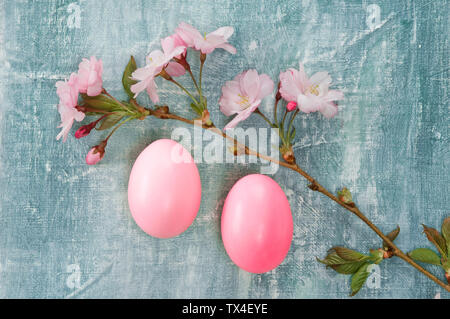 Pink branch of cherry blossoms and pink Easter egg Stock Photo