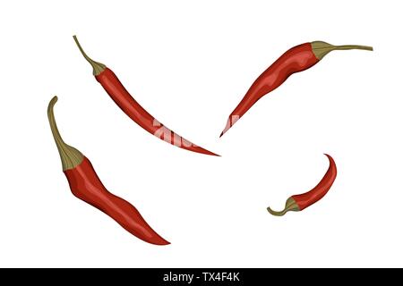 Red chili pepper. Vector illustration. Hot spice. Organic vegetable design. Stock Vector