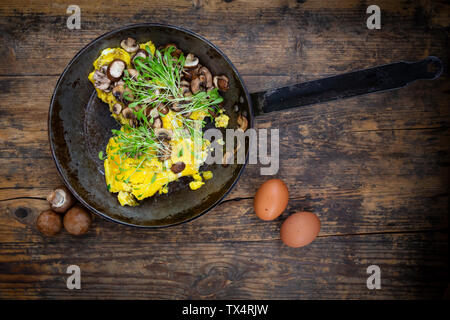 Omelette with champignon and fresh cress in pan Stock Photo